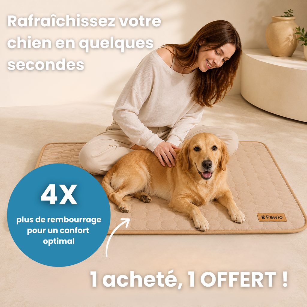 Tapis rafraîchissant